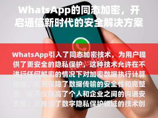 经过修改、校对及优化后的文章如下，