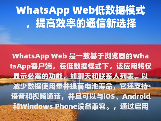 WhatsApp Web，低数据模式下的高效通信工具