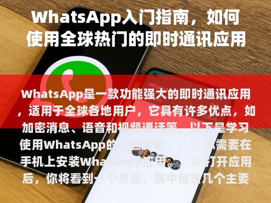 WhatsApp，一款高效、多功能的即时通讯工具