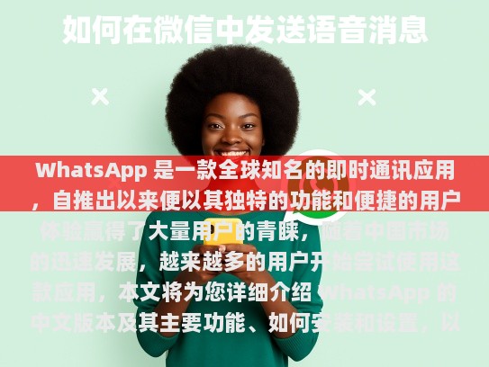WhatsApp 中文版简介