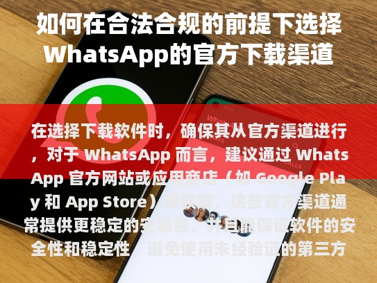 安全性与隐私保护