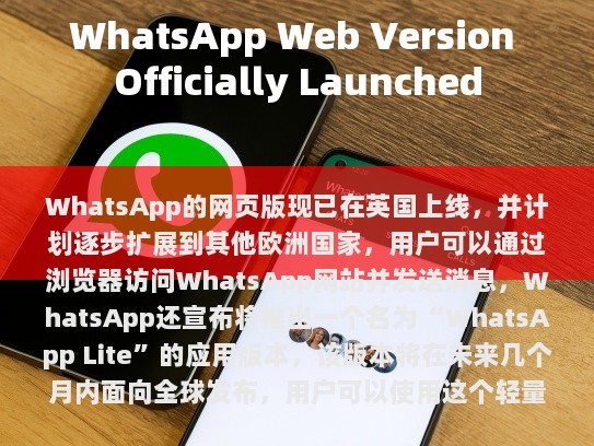 经过分析，我发现以下内容有误，