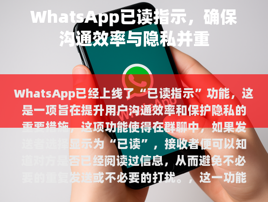 WhatsApp已读指示，确保沟通效率与隐私并重