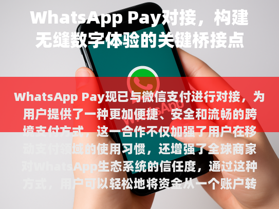 随着更多国际支付服务提供商加入这一行列，未来的支付体验将变得更加丰富和多样化。