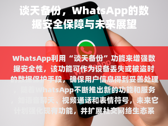 附图说明，