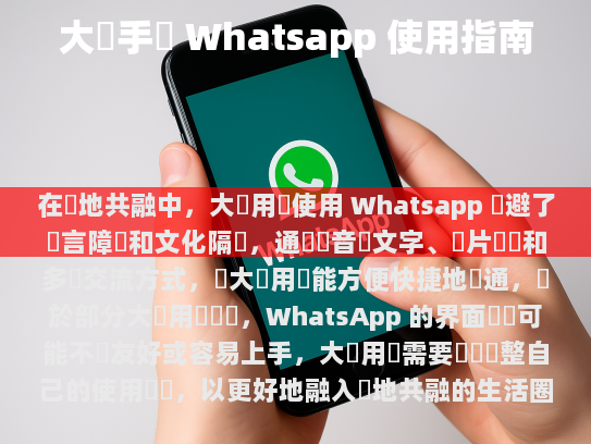 WhatsApp的背景与发展