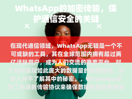 在现代通信领域，WhatsApp无疑是不可或缺的工具。其在全球范围内拥有一亿六千万活跃用户，成为人们交流的重要平台，对于如何实现如此庞大的数据量的快速传输，许多人并不了解其中的秘密。