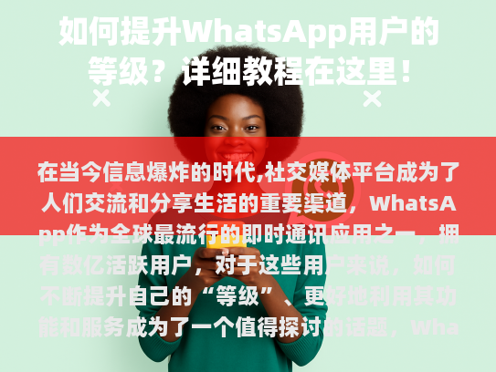 WhatsApp 用户等级的基本概念